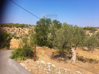 Οικόπεδο 19.725 τ.μ. για πώληση, Αργολίδα, Κρανίδι-thumb-12
