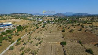 Οικόπεδο 19.725 τ.μ. για πώληση, Αργολίδα, Κρανίδι-thumb-14