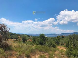 Αγροτεμάχια 30.000 τ.μ. για πώληση, Αργολίδα, Κρανίδι-thumb-10