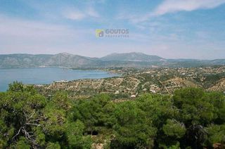 Αγροτεμάχια 30.000 τ.μ. για πώληση