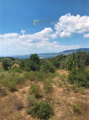 Αγροτεμάχια 30.000 τ.μ. για πώληση, Αργολίδα, Κρανίδι-thumb-9