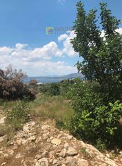 Αγροτεμάχια 30.000 τ.μ. για πώληση, Αργολίδα, Κρανίδι-thumb-5