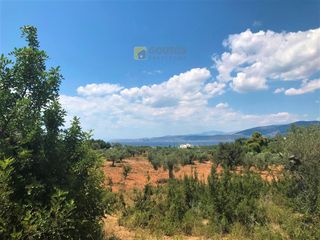 Αγροτεμάχια 30.000 τ.μ. για πώληση, Αργολίδα, Κρανίδι-thumb-15