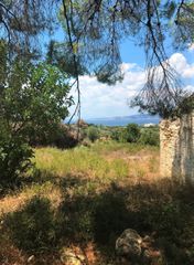 Αγροτεμάχια 30.000 τ.μ. για πώληση, Αργολίδα, Κρανίδι-thumb-3