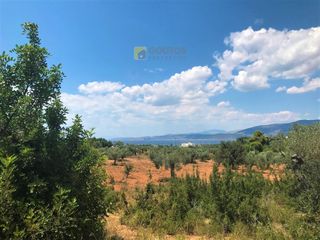 Αγροτεμάχια 30.000 τ.μ. για πώληση, Αργολίδα, Κρανίδι-thumb-14