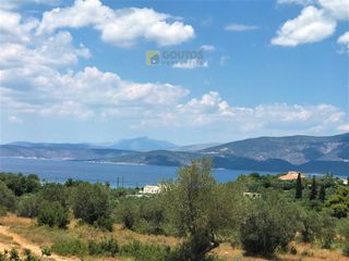 Αγροτεμάχια 30.000 τ.μ. για πώληση, Αργολίδα, Κρανίδι-thumb-20