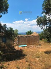 Αγροτεμάχια 30.000 τ.μ. για πώληση, Αργολίδα, Κρανίδι-thumb-6