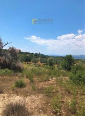 Αγροτεμάχια 30.000 τ.μ. για πώληση, Αργολίδα, Κρανίδι-thumb-8