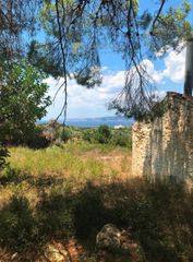 Αγροτεμάχια 30.000 τ.μ. για πώληση, Αργολίδα, Κρανίδι-thumb-4