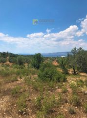 Αγροτεμάχια 30.000 τ.μ. για πώληση, Αργολίδα, Κρανίδι-thumb-7