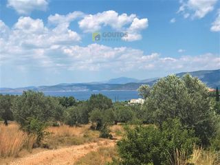 Αγροτεμάχια 30.000 τ.μ. για πώληση, Αργολίδα, Κρανίδι-thumb-21