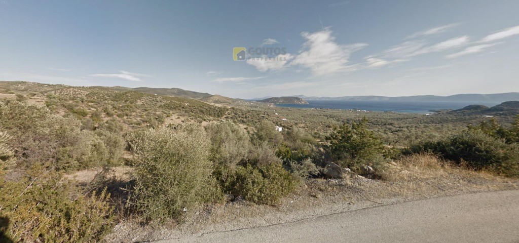 Αγροτεμάχια 4.065 τ.μ. προς πώληση, Ηλιόκαστρο