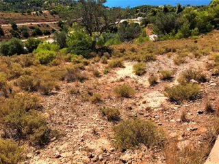 Οικόπεδο 400 τ.μ. για πώληση, Αργολίδα, Κρανίδι-thumb-12