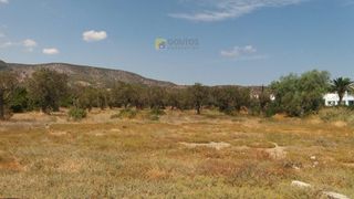 Οικόπεδο 3.264 τ.μ. για πώληση, Αργολίδα, Ερμιόνη-thumb-17