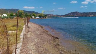 Οικόπεδο 3.264 τ.μ. για πώληση, Αργολίδα, Ερμιόνη-thumb-4