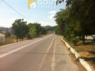 Κατάστημα 470 τ.μ. για ενοικίαση, Αρκαδία, Τρίπολη-thumb-16