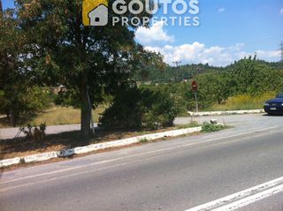 Κατάστημα 470 τ.μ. για ενοικίαση, Αρκαδία, Τρίπολη-thumb-14