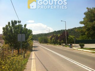 Κατάστημα 470 τ.μ. για ενοικίαση, Αρκαδία, Τρίπολη-thumb-3