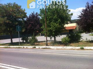 Κατάστημα 470 τ.μ. για ενοικίαση, Αρκαδία, Τρίπολη-thumb-4