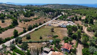 Αγροτεμάχια 5.268 τ.μ. για πώληση, Αργολίδα, Κρανίδι-thumb-4