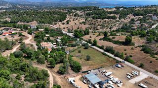 Αγροτεμάχια 5.268 τ.μ. για πώληση, Αργολίδα, Κρανίδι-thumb-9