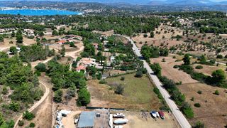 Αγροτεμάχια 5.268 τ.μ. για πώληση, Αργολίδα, Κρανίδι-thumb-6