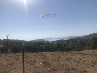 Αγροτεμάχια 12.000 τ.μ. για πώληση, Αργολίδα, Ερμιόνη-thumb-5