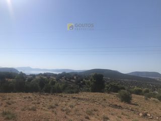 Αγροτεμάχια 12.000 τ.μ. για πώληση, Αργολίδα, Ερμιόνη-thumb-1