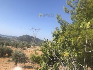 Αγροτεμάχια 12.000 τ.μ. για πώληση, Αργολίδα, Ερμιόνη-thumb-6