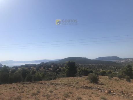 Parcel 12.000sqm for sale-Ermioni