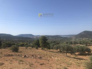 Αγροτεμάχια 12.000 τ.μ. για πώληση, Αργολίδα, Ερμιόνη-thumb-8