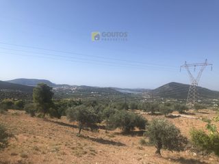 Αγροτεμάχια 12.000 τ.μ. για πώληση, Αργολίδα, Ερμιόνη-thumb-2