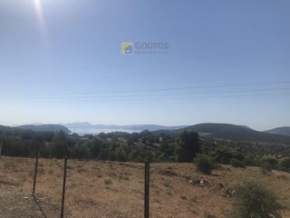 Αγροτεμάχια 12.000 τ.μ. για πώληση, Αργολίδα, Ερμιόνη-thumb-3