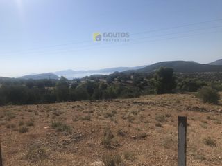 Αγροτεμάχια 12.000 τ.μ. για πώληση, Αργολίδα, Ερμιόνη-thumb-7