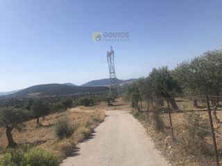 Αγροτεμάχια 12.000 τ.μ. για πώληση, Αργολίδα, Ερμιόνη-thumb-4