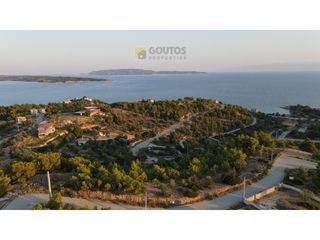 Οικόπεδο 12.430 τ.μ. για πώληση, Αργολίδα, Κρανίδι-thumb-6