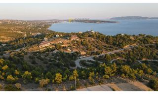 Οικόπεδο 12.430 τ.μ. για πώληση, Αργολίδα, Κρανίδι-thumb-27