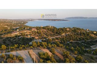 Οικόπεδο 12.430 τ.μ. για πώληση, Αργολίδα, Κρανίδι-thumb-18