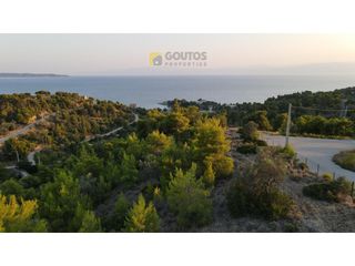 Οικόπεδο 12.430 τ.μ. για πώληση, Αργολίδα, Κρανίδι-thumb-23