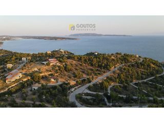 Οικόπεδο 12.430 τ.μ. για πώληση, Αργολίδα, Κρανίδι-thumb-5