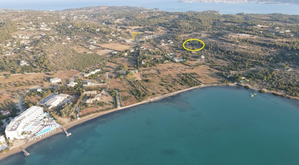 Οικόπεδο 5.000 τ.μ. πρός πώληση, Αργολίδα, Κρανίδι