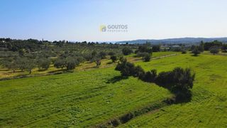 Αγροτεμάχια 66.541 τ.μ. για πώληση, Αργολίδα, Κρανίδι-thumb-17
