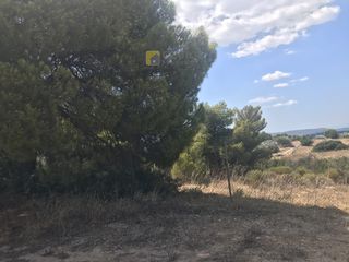 Αγροτεμάχια 66.541 τ.μ. για πώληση, Αργολίδα, Κρανίδι-thumb-14