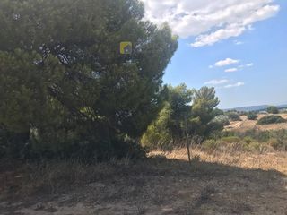 Αγροτεμάχια 66.541 τ.μ. για πώληση, Αργολίδα, Κρανίδι-thumb-13