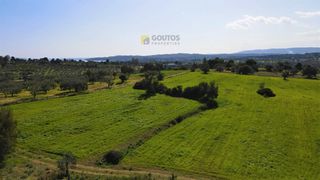Αγροτεμάχια 66.541 τ.μ. για πώληση, Αργολίδα, Κρανίδι-thumb-4