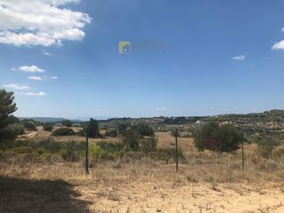 Αγροτεμάχια 66.541 τ.μ. για πώληση, Αργολίδα, Κρανίδι-thumb-9