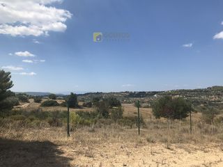 Αγροτεμάχια 66.541 τ.μ. για πώληση, Αργολίδα, Κρανίδι-thumb-10