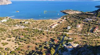 Οικόπεδο 7.420 τ.μ. για πώληση, Αργολίδα, Ερμιόνη-thumb-14
