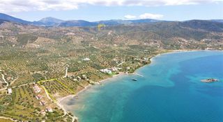 Οικόπεδο 7.420 τ.μ. για πώληση, Αργολίδα, Ερμιόνη-thumb-27
