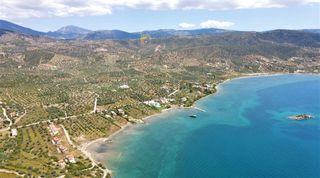 Οικόπεδο 7.420 τ.μ. για πώληση, Αργολίδα, Ερμιόνη-thumb-12